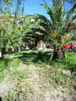 Ludoteca
